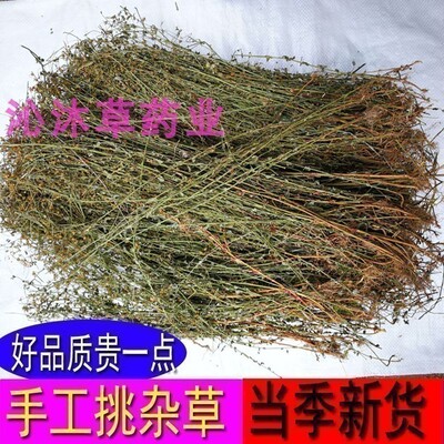 正宗田基黄中草药地耳草田基王草