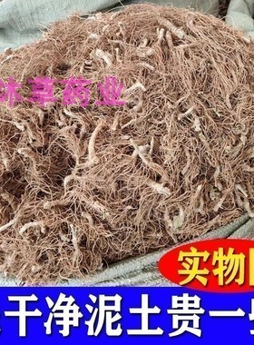 红花矮脚地胆头干货新鲜中药材地胆草根 广东煲汤料地斩头草鞋根