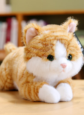 生日礼物仿真小猫公仔玩偶抱枕