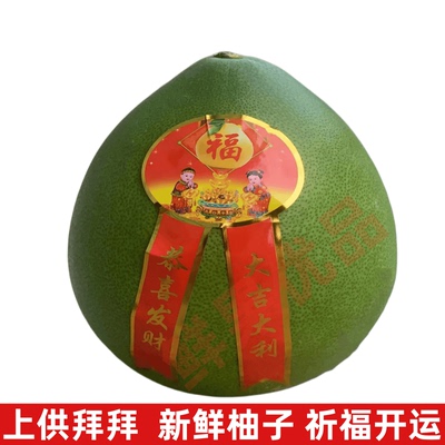 黄皮福建非食用财神柚