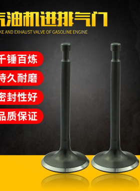 适用于罗宾汽油发电机配件7.5HP微耕机配件RGX3500  EY28进排气门