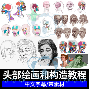 人物头部结构教程ps面孔表情眼耳嘴姿势构成造型艺术美术插画师课