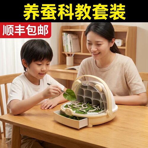 新鲜桑叶幼蚕蚕宝宝活体籽龄生太空舱学生养蚕七彩蚕卵桑叶套装活