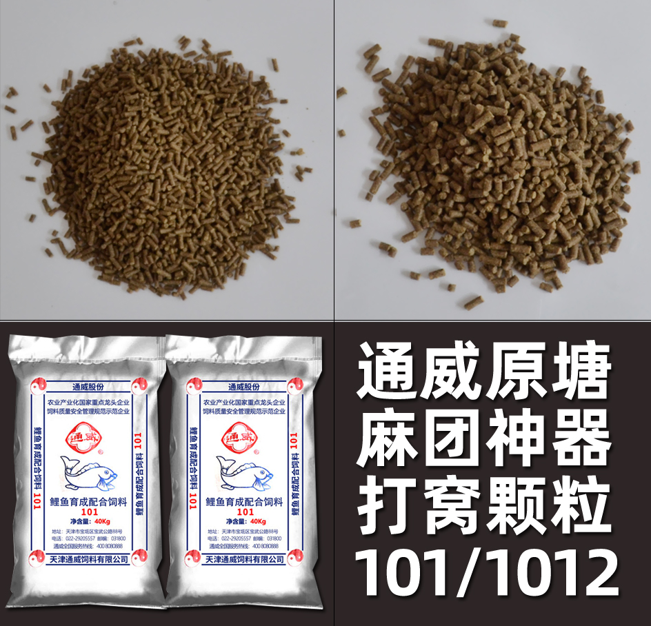 正品通威鱼饲料腥味打窝麻团颗粒