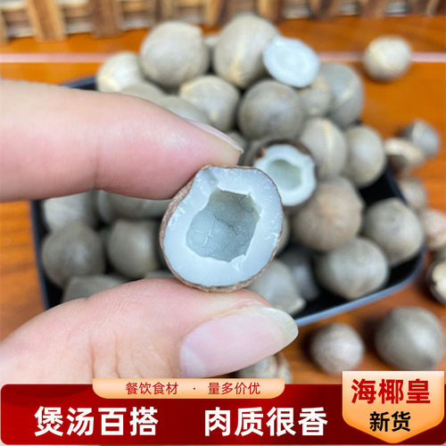 新货海椰皇500g煲汤白色小椰子肉