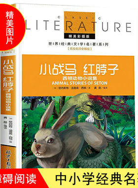 名师全解版彩色插图经典名著