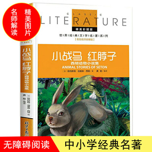 正版名校老师全解版系列课外阅读图书小战马 红脖子 阅读世界文学名著儿童书籍三四五六年级中小学生课外书