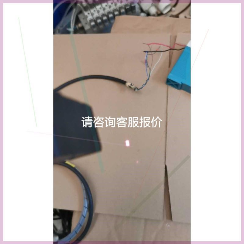 D4SL-N2NFA-D D4SL-N系列电磁锁定议价