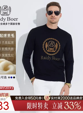 【抗起球羊毛】Raidy Boer/雷迪波尔男装刺绣烫钻半高领毛衣5077