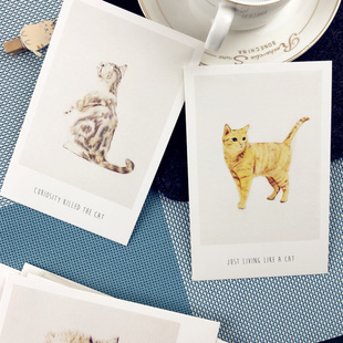 小动物卡片30张手绘猫咪明信片形态各异小可爱猫酱日常撒娇伸懒腰