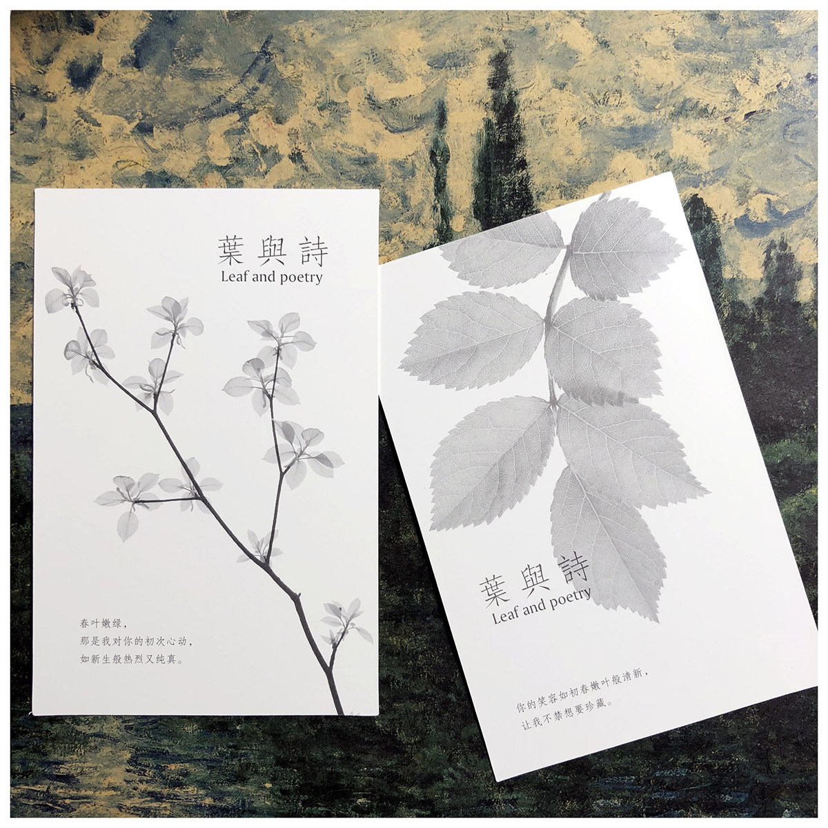 创意爱情明信片白色卡片表白情诗文艺淡雅留言卡情书小清新告白卡