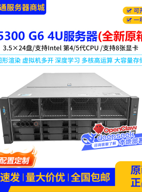 R5300 G6服务器4U机架式24盘位PCIe 5.0 ai人工智能深度学习主机