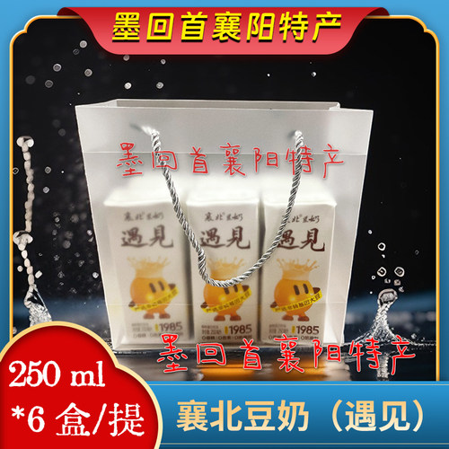 襄阳特产 襄北豆奶 遇见 250ml*6盒/提 【襄阳早餐豆奶】原味