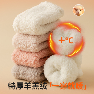 地板袜 特厚珊瑚绒袜子女冬天加绒加厚睡眠袜保暖居家毛绒睡觉穿