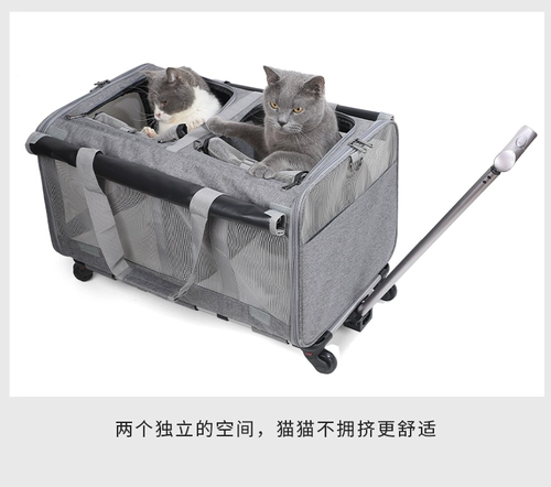 Вместительный и большой портативный чемодан для выхода на улицу