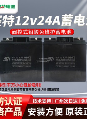 赛特铅酸蓄电池24AH/12V GST5000消防火灾报警青鸟海湾主机专用