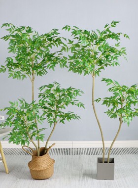 仿真南天竹摆放绿植河北