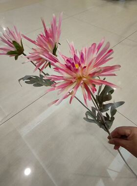 仿真蟹爪菊多色植毛花