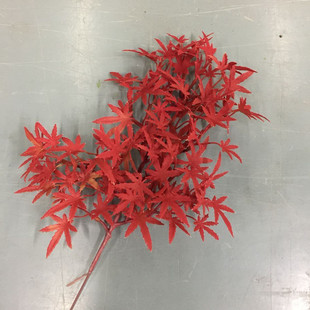 仿真红枫叶 仿真树枝造景假树叶枫树假叶子 工程装饰枫叶榕树叶