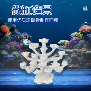 35-40爪哇石海水缸造景石海缸用品水族养鱼摆件景观岩石装饰定制