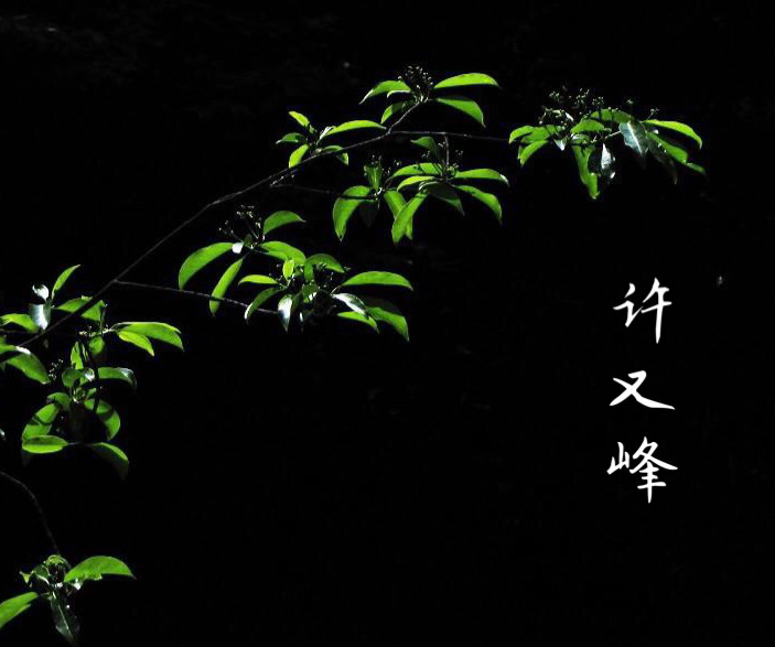 相逢一壶茶 赏析 许又峰 作品茶壶