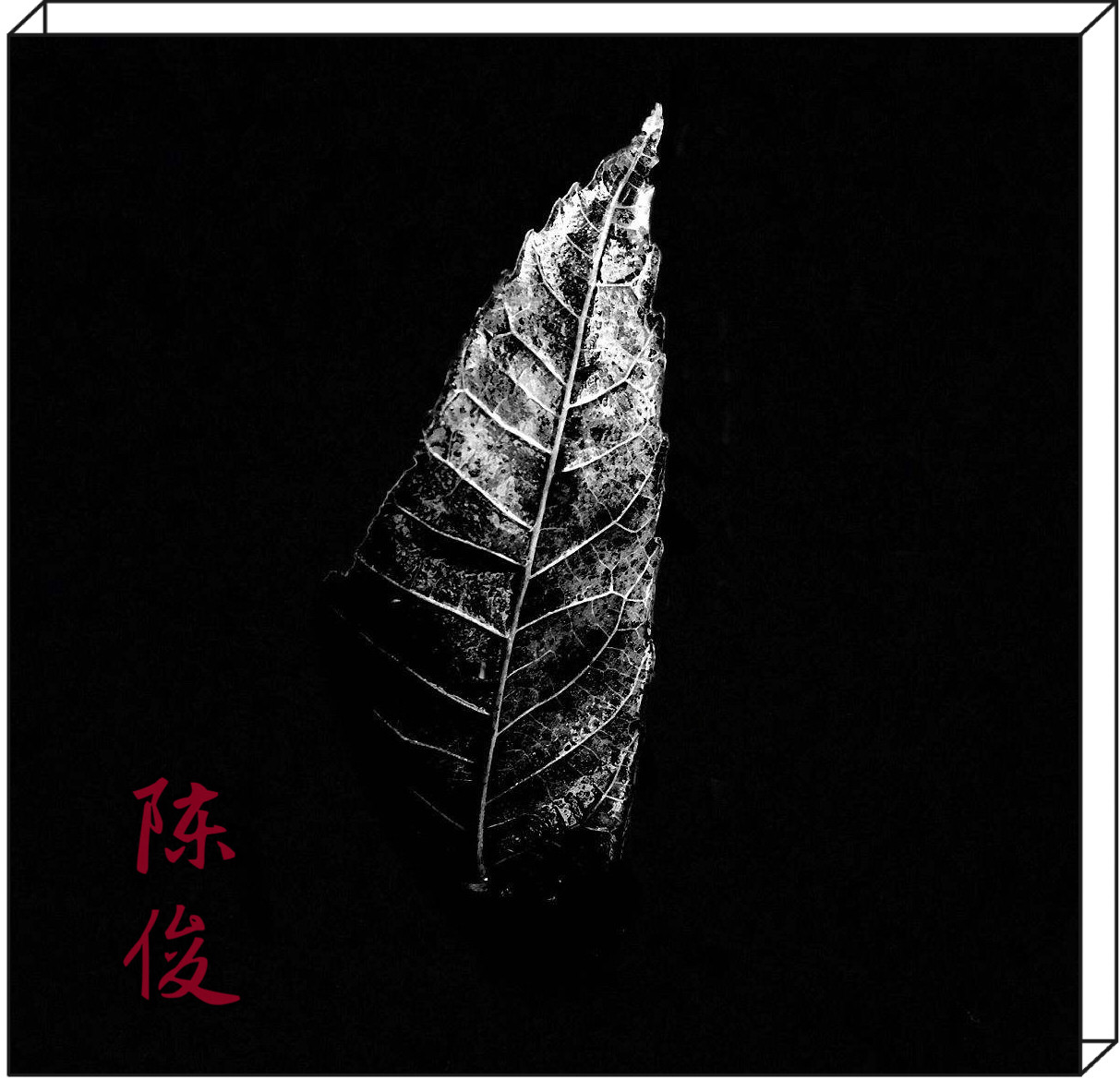 相逢一壶茶 赏析 陈俊陶人录 茶壶