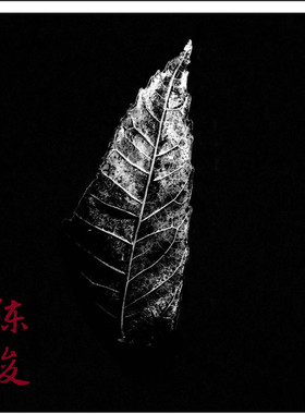 相逢一壶茶 赏析 陈俊陶人录 方壶作品集 拍卖款紫砂壶 九瀚精品