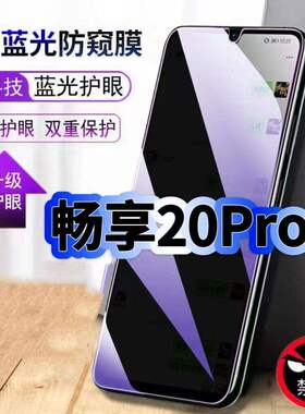适用华为畅享20Pro防偷窥护眼蓝光钢化膜DVC-AN00黑边手机膜防偷看隐私防窥膜5G全屏防摔爆保护高清玻璃贴膜
