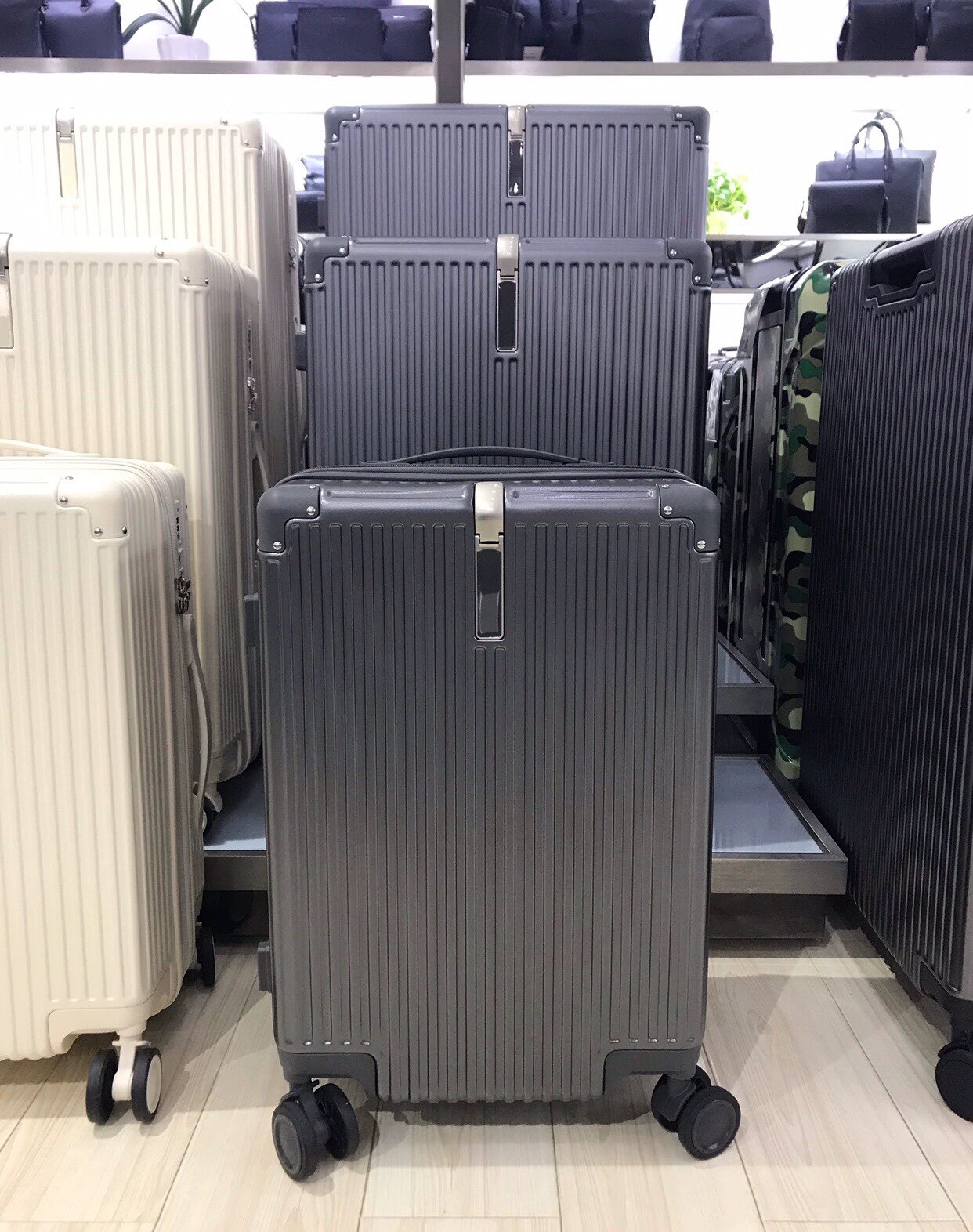皮尔卡丹旅行箱万向轮密码拉杆箱登机托运商场同款C31349012-20D