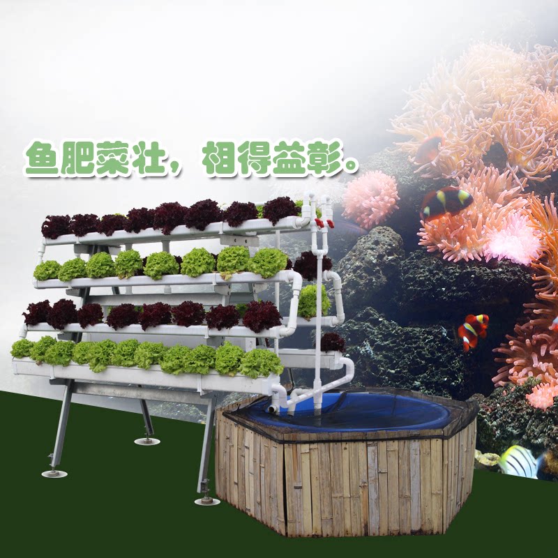 幸运买家户外阳台园艺蔬菜无土栽培设备鱼菜共生水培种植架鱼美人