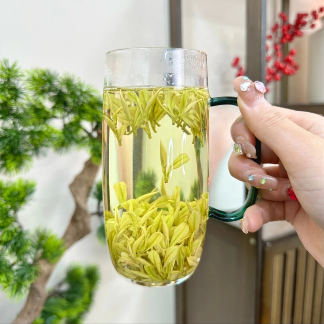 2026新茶【精品头采5优-特短】明前春茶安吉白茶送礼250g