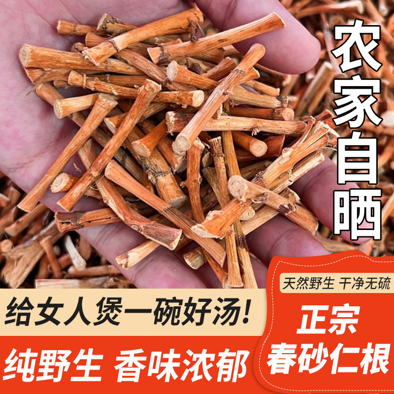 阳春特产春砂仁根月子煲汤煮水
