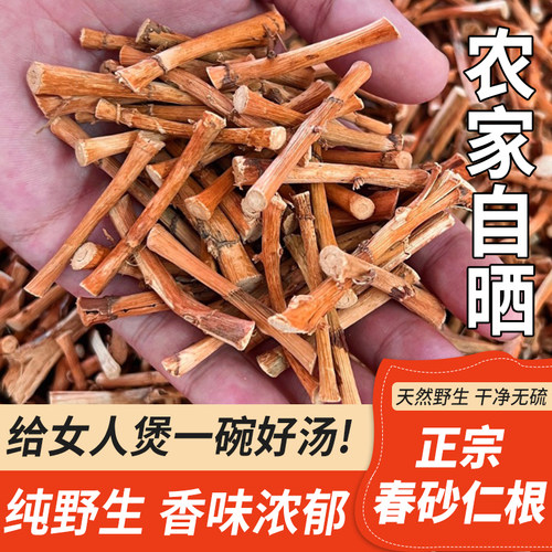 阳春特产春砂仁根月子煲汤煮水
