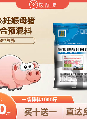 4%妊娠母猪用预混料浓缩型饲料繁殖母猪的发情各种营养素怀孕后备