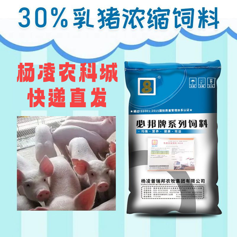 30%乳猪浓缩饲料37比小仔猪用教槽料农前期保育开口厂家直销添加图片