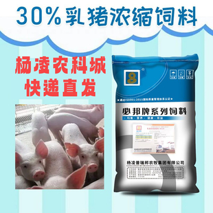 30%乳猪浓缩饲料37比小仔猪用教槽料农前期保育开口厂家直销添加