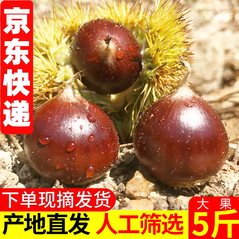 买就找我送开口器圆板栗粉糯香图片
