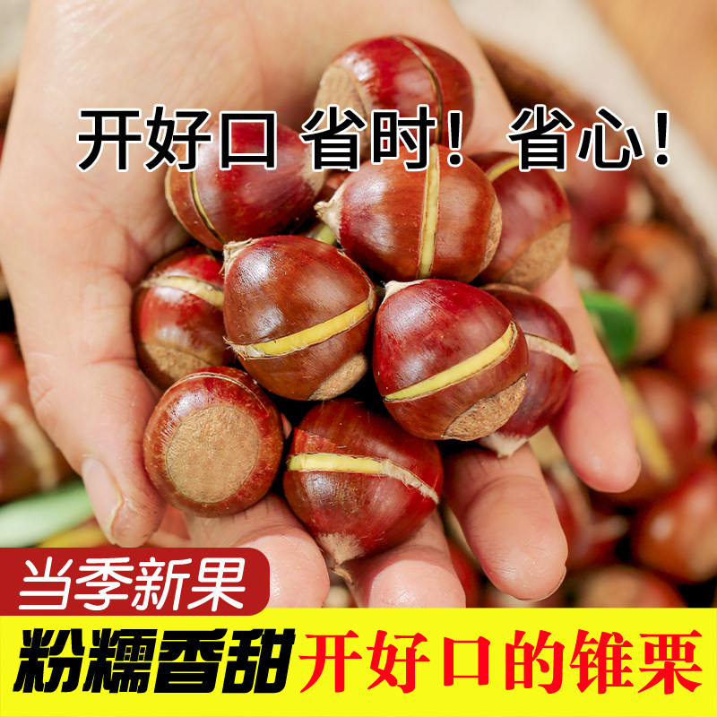 【解放双手】懒癌终结开好口锥栗