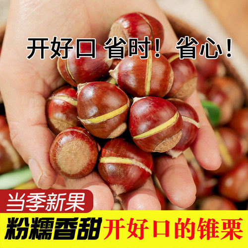 【解放双手】懒癌终结开好口锥栗