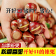 开好口锥栗新鲜生板栗尖椎栗建瓯油栗带壳圆锥栗新鲜现摘老树板栗