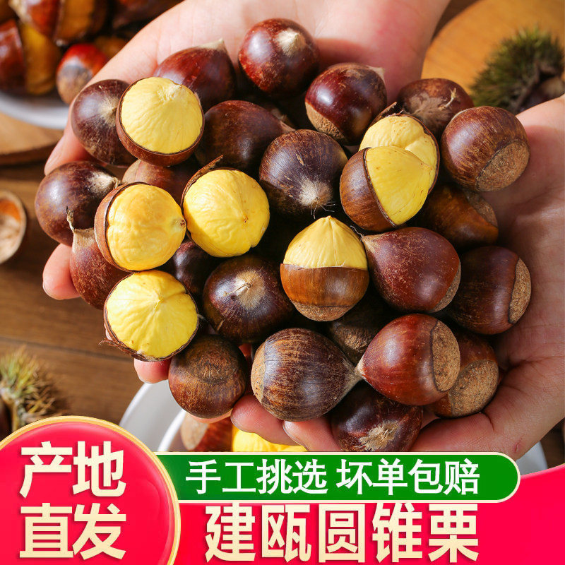 新鲜板栗现摘福建建瓯高山锥栗建瓯栗子带壳野生小锥栗油栗糖炒栗,水产肉类/新鲜蔬果/熟食,新鲜板栗/板栗仁,淘宝优惠券,粉丝福利购,淘宝优惠卷