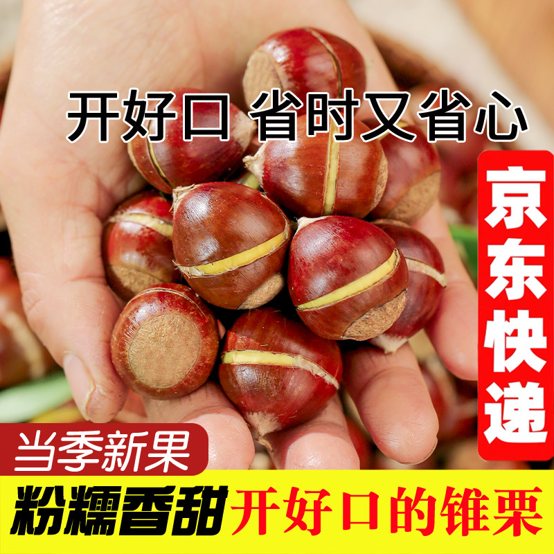 【解放双手】懒癌终结开好口锥栗