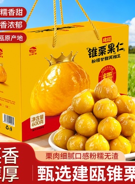 福建特产建瓯锥栗仁即食板栗仁油栗仁甘栗仁真空板栗零食小吃礼盒