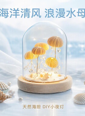 天然海胆壳DIY水母小夜灯创意生日礼物 团建手工活动手作店景区礼
