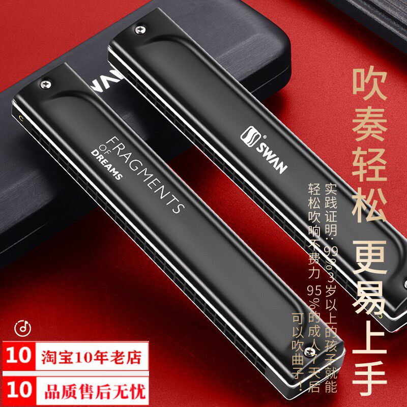 2023新款正品天鹅24孔复音口琴C调德国进口音簧高级演奏成人专业