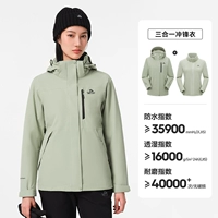 [Женская модель] Светлый чай зеленый |