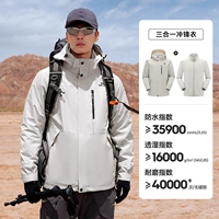 【Мужской фонд】 Mi White |