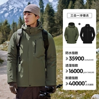 【Мужской фонд】 Зеленая сосна зеленый |