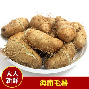 2023海南定安农家现挖毛薯甜薯新鲜开挖粗粮1斤试吃蒸煮海南特产
