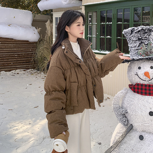美拉德咖色捏褶立领羽绒服女冬2025超火好看高级小众短款加厚外套图片